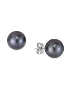 Tahitian Pearl (9-1/2mm ) Stud Earrings in 14k White Gold