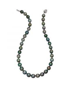 Cultured Tahitian Black Pearl (10-12mm) Strand Necklace in 14k White Gold