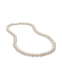 Cultured Freshwater Pearl (6mm) Strand in 14k Gold, 18"