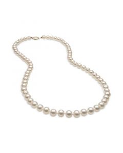 Cultured Freshwater Pearl (6mm) Strand in 14k Gold, 20"