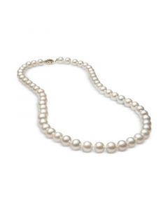 Cultured Freshwater Pearl (7mm) Strand 18" in 14k Gold