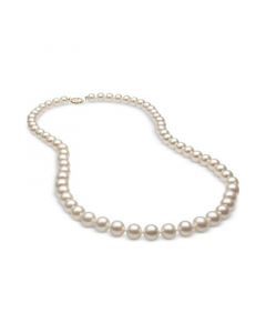 Cultured Freshwater Pearl (7mm) Strand 20" in 14k Gold