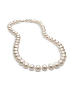 Cultured Freshwater Pearl (8-1/2mm) Strand in 14k Gold