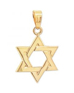 Star of David Pendant in 14k Yellow Gold