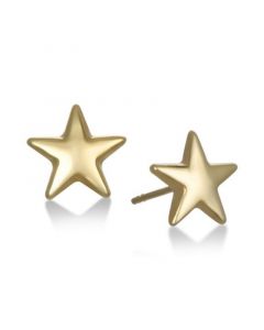 Star Stud Earrings in 10K Gold